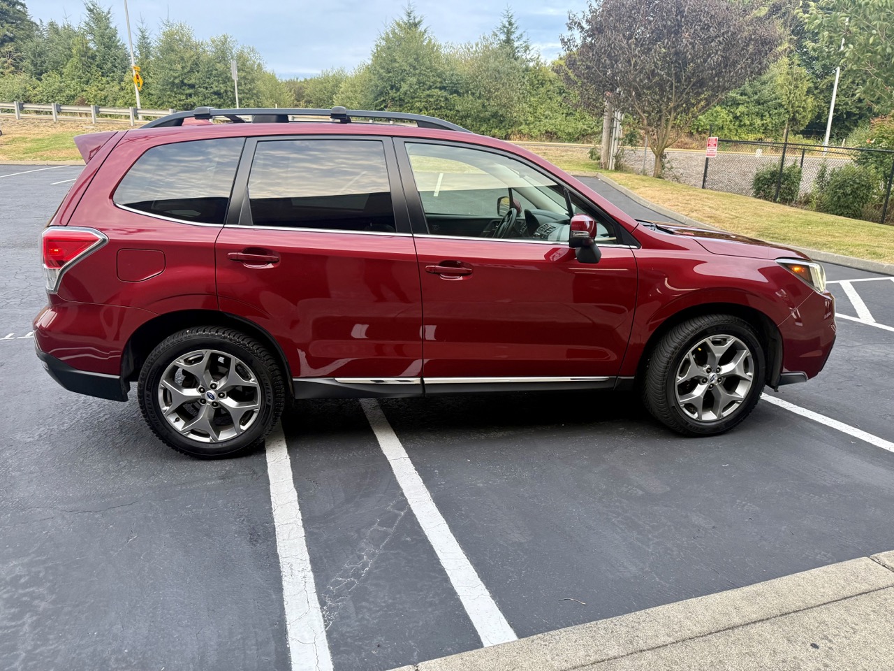 Forester 3